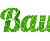 Онлайн конструктор надписей создай свою надпись с фоном зеленого листа - Шрифт Lobster